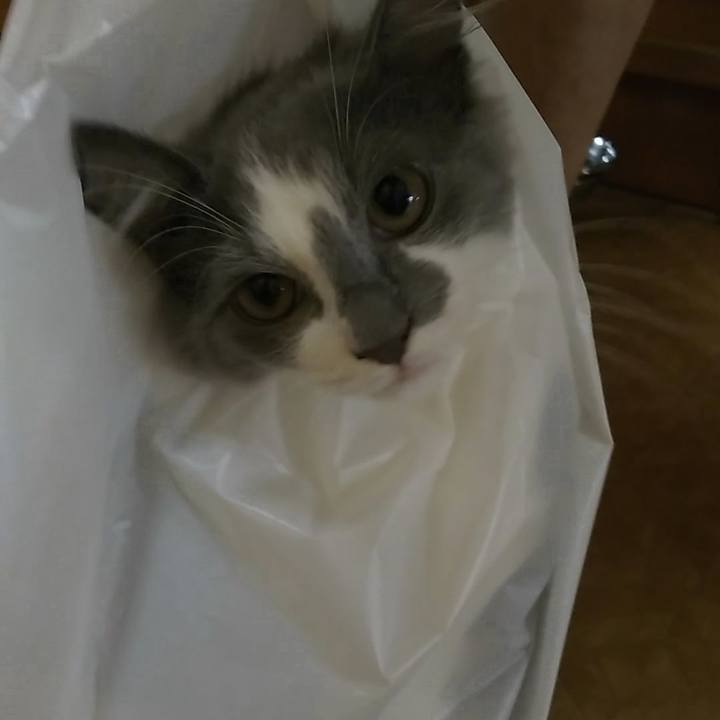 F2af66de fa41 4a62 81d2 f346193656e0 1567327985100