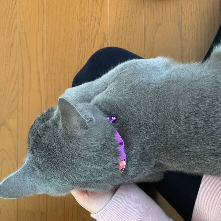 F2afe87e 1688 4cdb ac58 62b9267da2f0 1574666509339