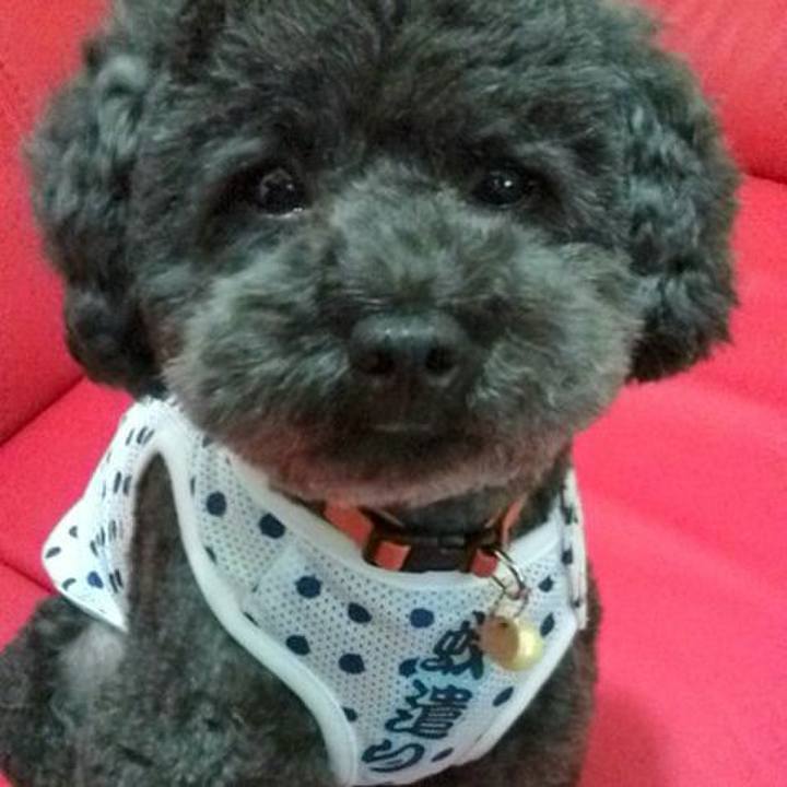 F2b073c4 d292 40c4 b5b3 8f7dfe4bf6b0 1566047216249