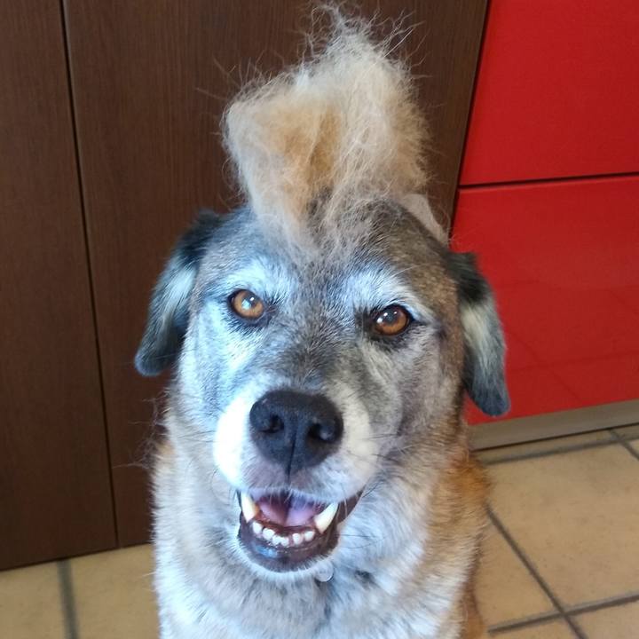 F2b07f7b 04d9 4079 97b0 f34123af7b64 1566708902601