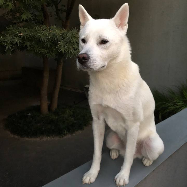 F2b0be9b f0c5 4eda 9c62 5ea34c9ceda6 1572602423100