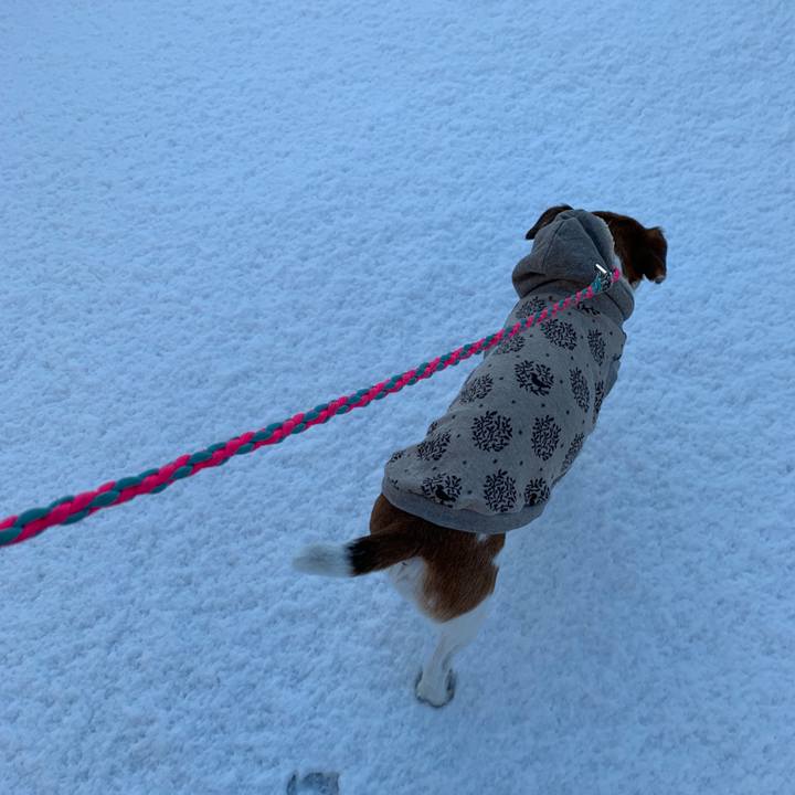 F2b0ce3c 7969 459b b254 c87df555138b 1548993088561