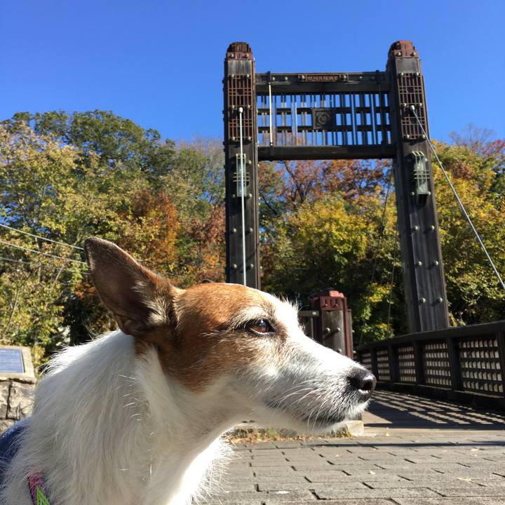 F2b0dc5d 4f54 43ed bea3 32d71fd6b60a 1575517231260