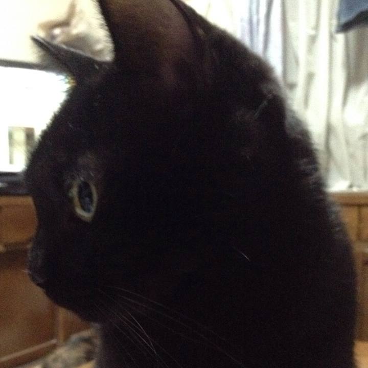 F2b0f3dd 6df7 41d9 adfe b01fb62e375b 1514204455958