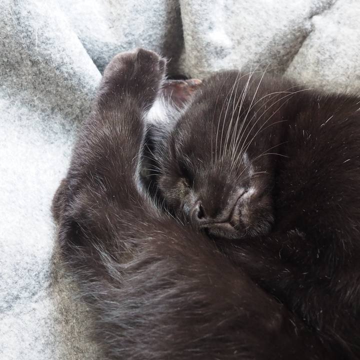 F2b10095 85cc 4468 ade3 92b5bbce6f1a 1541252746814