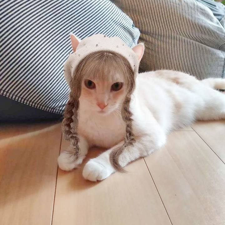 F2b10968 37d2 47a6 b3f3 5b4a6febedd2 1661313032369