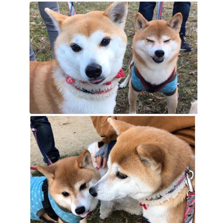 F2b143a0 bfc1 4f82 bb7a 8c8fba1138b8 1580618017351