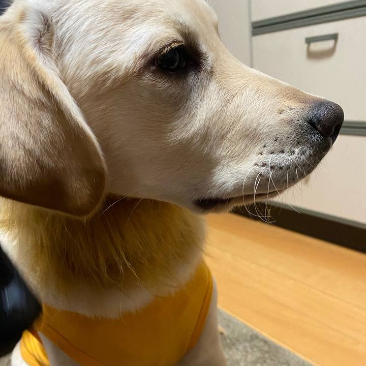 F2b1c106 3afd 4915 8365 9cffe07c1b2f 1616538122120