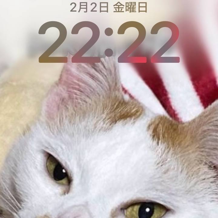 F2b1c112 57fc 4c22 b4af 2dc3be88442e 1706881584399