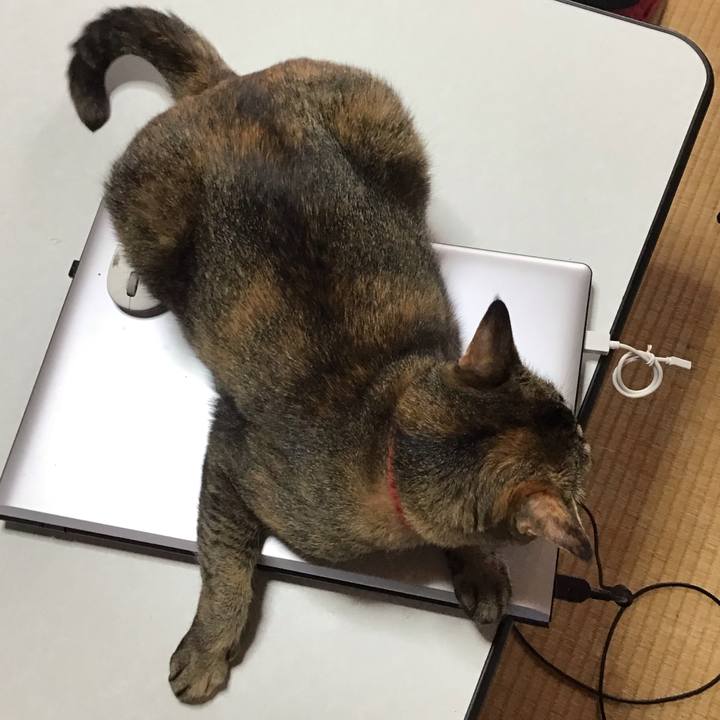 F2b1c8da 4a3c 4fc9 b2ef 4f765731b7de 1629592556389