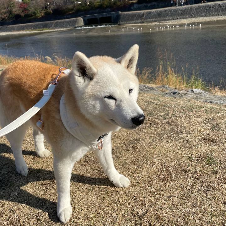 F2b1db13 a970 44bd 8529 34b3e793623b 1670718340745