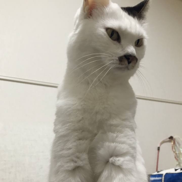 F2b207b2 9636 4995 8d3e 88493c3da04f 1543896595720