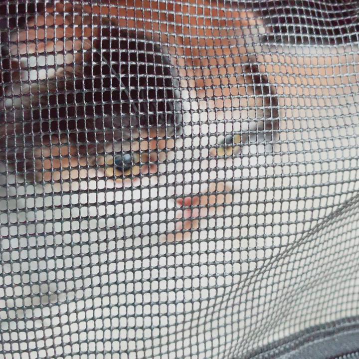 F2b261b3 20b0 423f ad50 53c518e16717 1566524711855