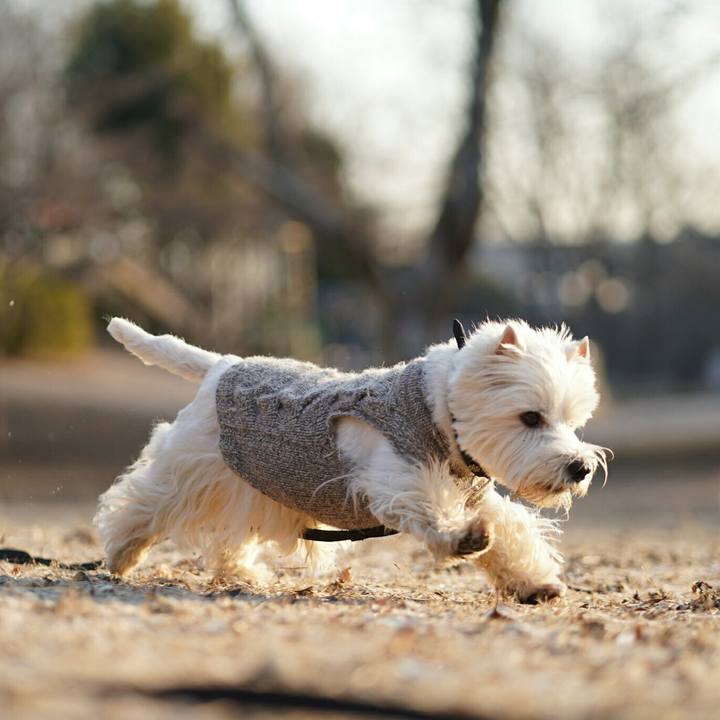 F2b26209 6fe9 4fd2 8a0d 433b3e580ef5 1518218710453