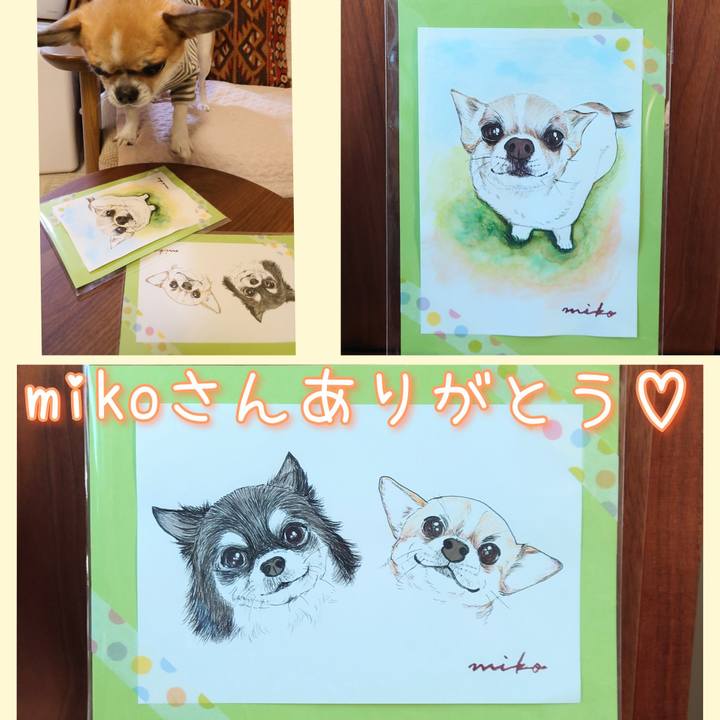 F2b29108 28c7 476a 81b0 1c9d5c38bbd3 1668918320768