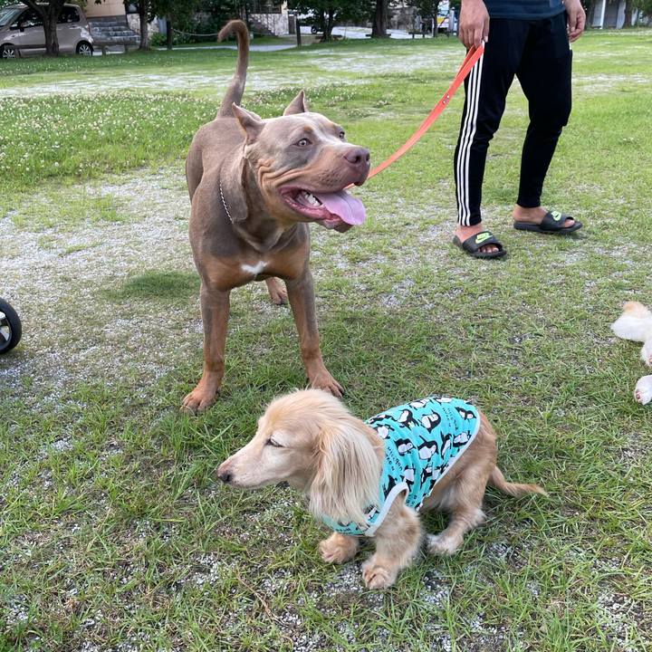 F2b2e4a6 69bd 4b22 aa09 e033912179da 1656506452567