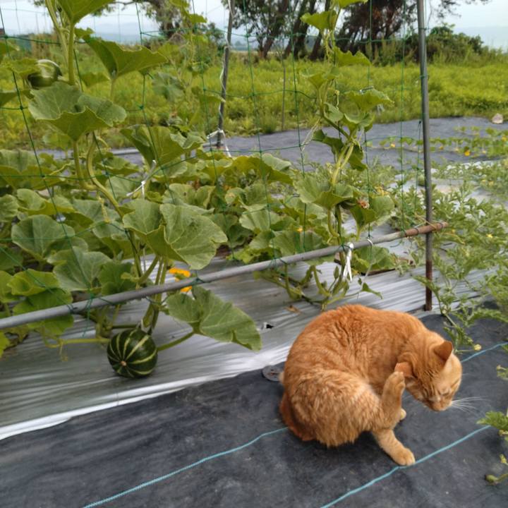 F2b2e5ee f920 4dd8 9ec7 56a2ee0bfa02 1688688210934