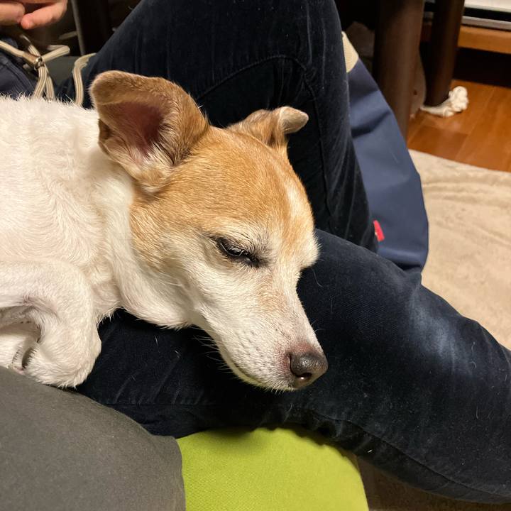 F2b30cdd c25f 45b8 8ede 8982f212bcdb 1775386020785