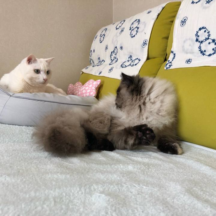 F2b3258a f897 47db 8f27 98abd5547c0f 1643445334698