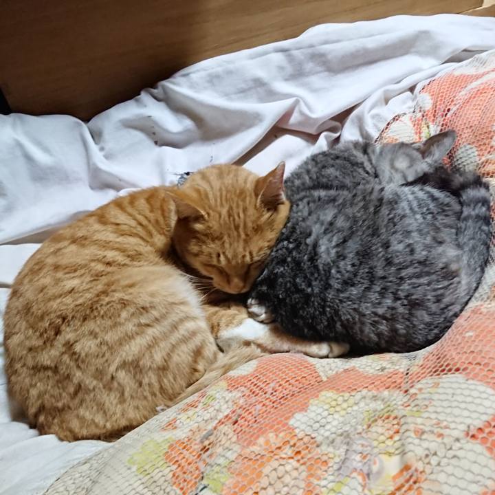 F2b33d8b d754 4bf4 887d cdb19a34d84c 1574513986353