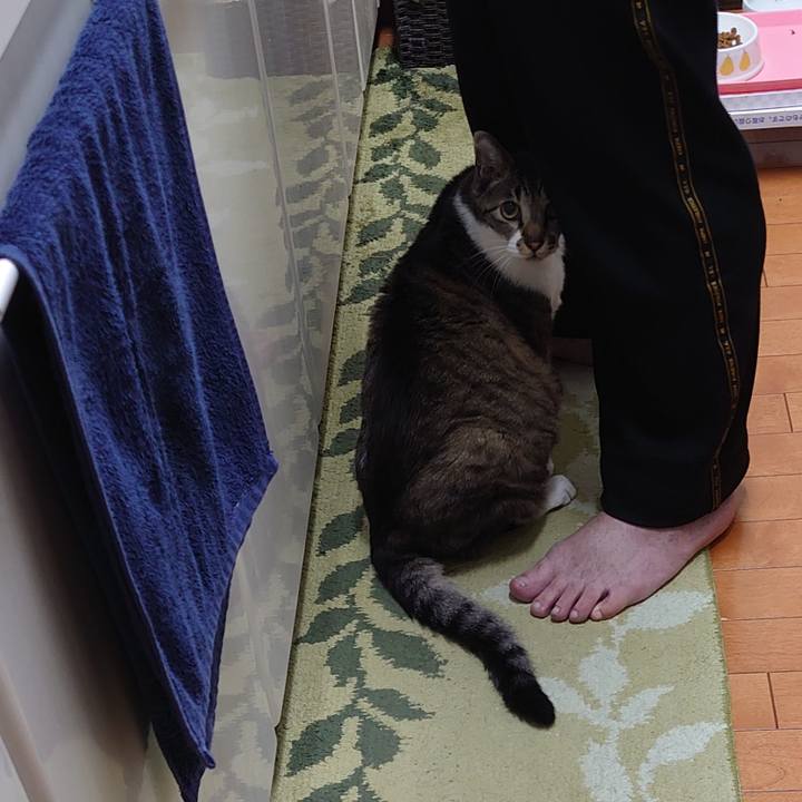 F2b340ba dbce 498d ac34 8ece06cb9498 1719017179592