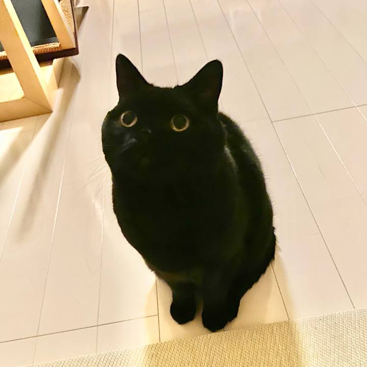 F2b373f9 3524 41a1 98ff 3ae3f1d7b56e 1672318595138