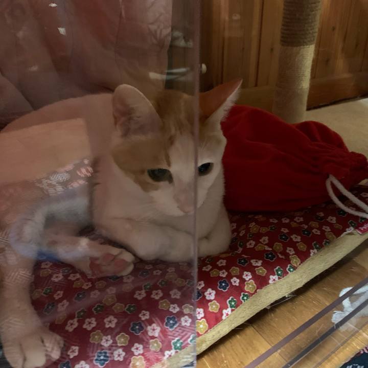 F2b3948a 3308 439c acde 28ccd78b7ab2 1579174352189