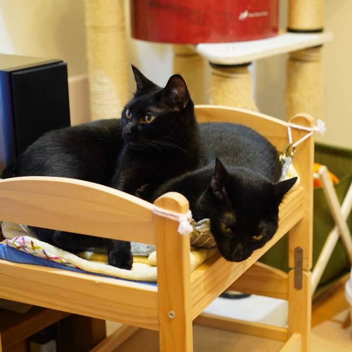 F2b3aef0 3e04 4bcb 981e ab54e9e576ff 1570255704311