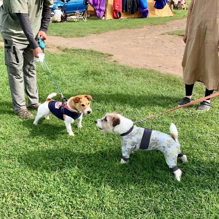 F2b3d22d 95e3 4885 93ca 6fc35fd8a293 1662987739727