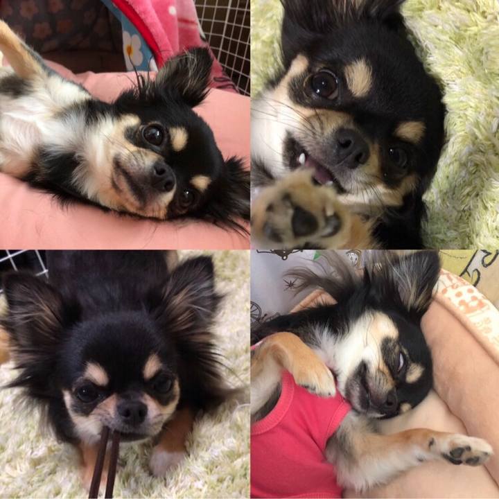 F2b3ea49 08b6 40e7 b621 46300341fde7 1571211731634