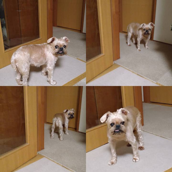 F2b4184d 968e 43d5 b19e d537a1698ecd 1633563407750