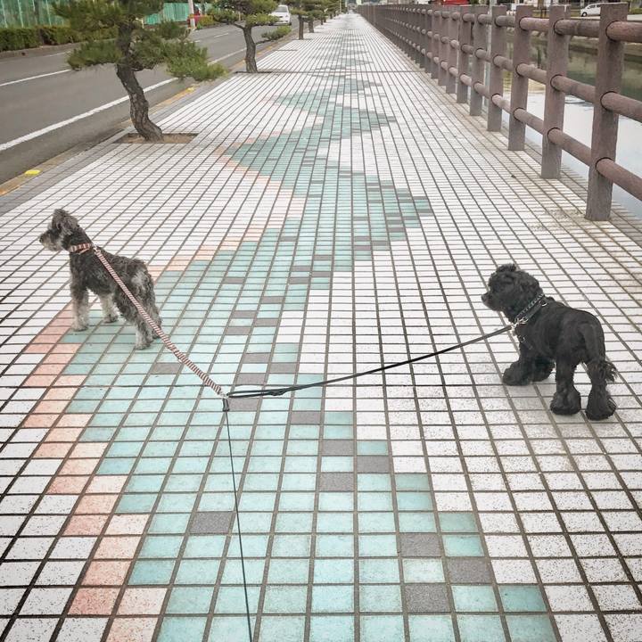 F2b437f9 9402 4b4b 9dca 88509ca4d0bb 1558161330862