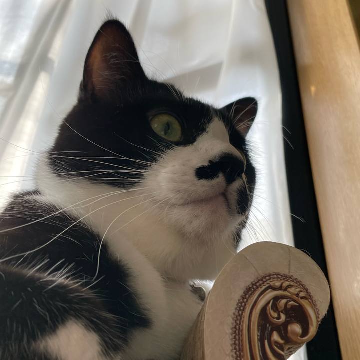 F2b4b9ff a48f 4da5 b492 95bbdb669f2c 1680219276990