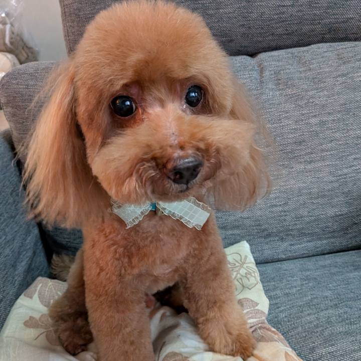 F2b4d82f 8287 421f 9f93 903c79a6f9bd 1766731342845