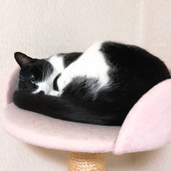 F2b4ee65 0bb0 4df7 a22e 1785f9f5e0b2 1529275866220