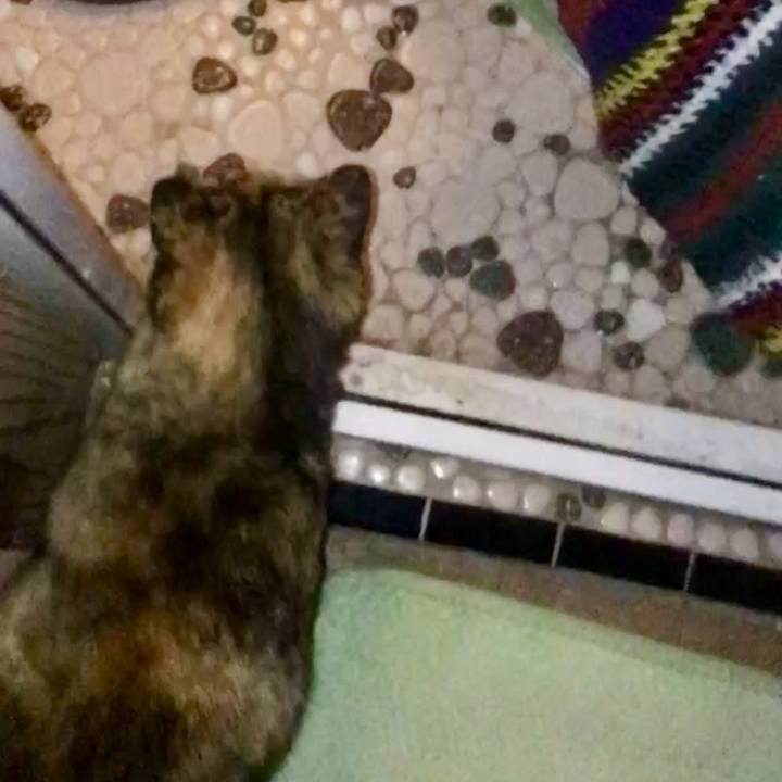 F2b5c97c 08ac 423b 9fbe 939492bc03ed 1741554454240