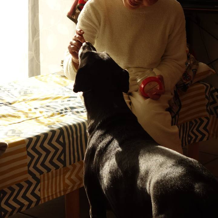 F2b5cf87 f7b2 4e6f 80a0 cac01e97997c 1735383999639