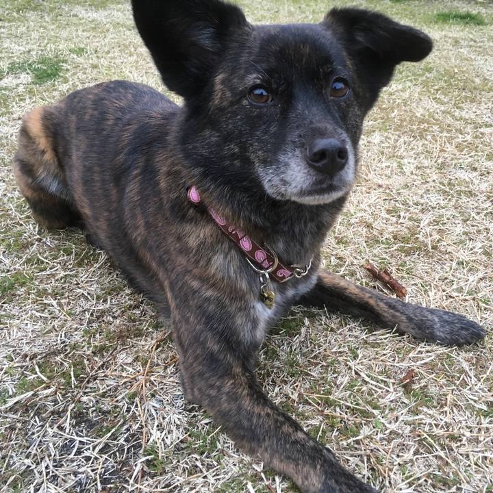 F2b5d2b7 9426 4300 ac9d bd71fc8ee1f0 1521113346816