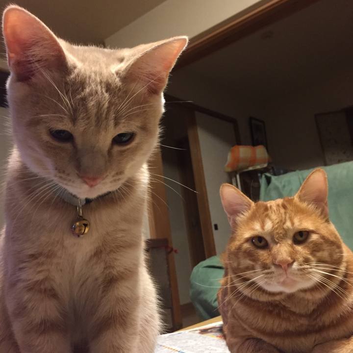 F2b5eca2 30d2 43aa 8a83 d58f744ca0c9 1541247410290