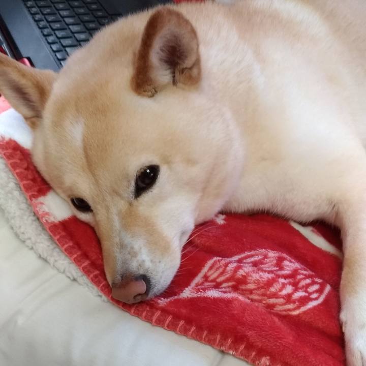 F2b5fa7f 035e 41f8 a0bd 8c6c4777b809 1581981957199