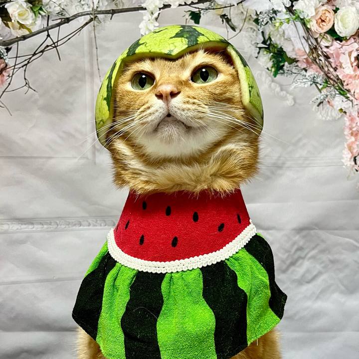 F2b61c97 fcbe 49c1 9699 092845b6b09a 1720869575728