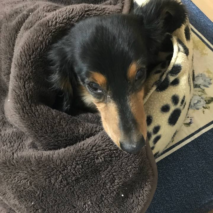 F2b62b80 eee6 42be 9993 0ec040710d53 1513547763276