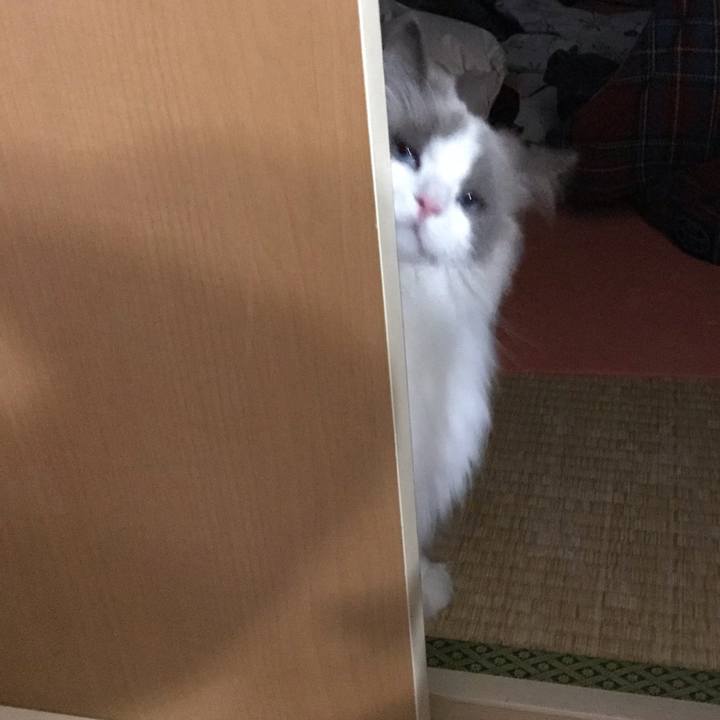 F2b635b1 55eb 4e0f bca8 66f43bff4463 1583058151832