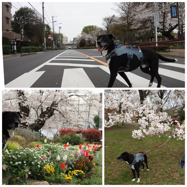 F2b65454 67c9 4375 bbce 9ba020610e15 1712367800454