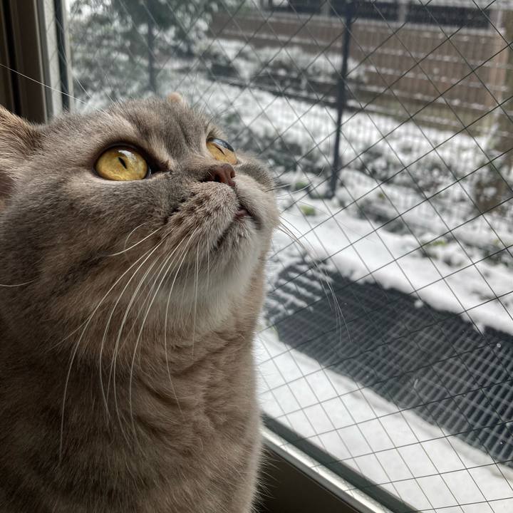 F2b66dc6 12c1 41a8 8b61 9e1699ca45ec 1770523893227