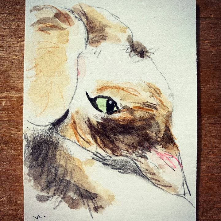 F2b695ca f102 4e6d 8cd0 5917ffabe925 1609982355152