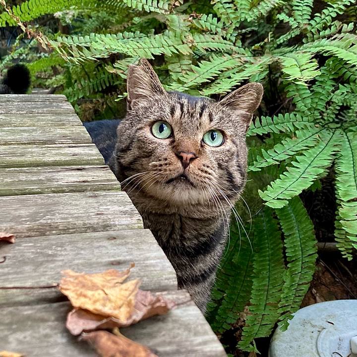 F2b69858 159a 4e9e b376 714fe458c2d3 1666168482228