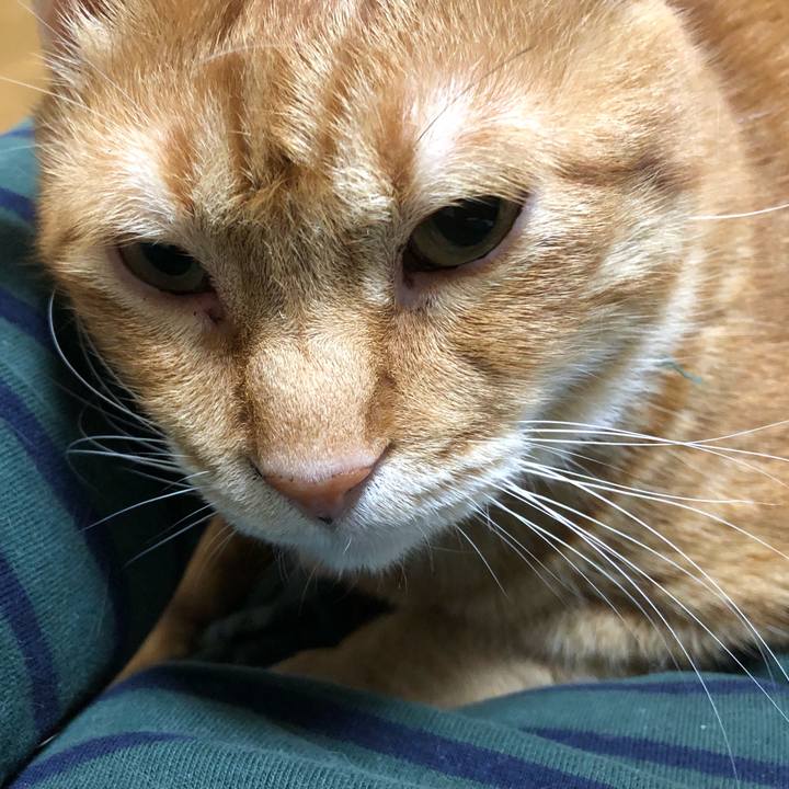 F2b6b0c9 e6cd 491b 9a68 0b995dcb395e 1586427425215