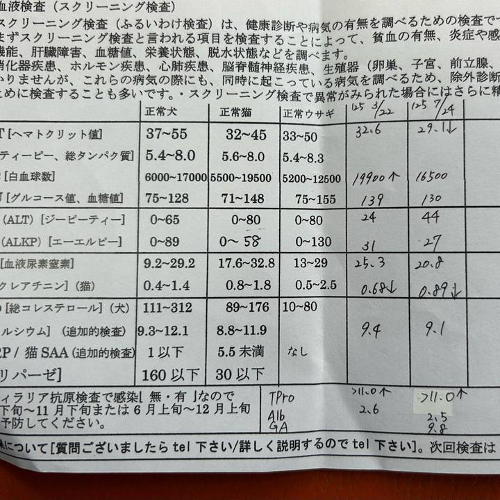 F2b6ecaf 7e0d 4d45 91a6 f20a4081c51b 1759648526037