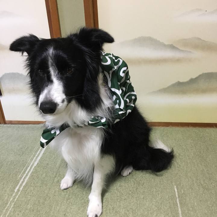 F2b708d7 0608 491e 8c8d bb8b517133bb 1511680660694